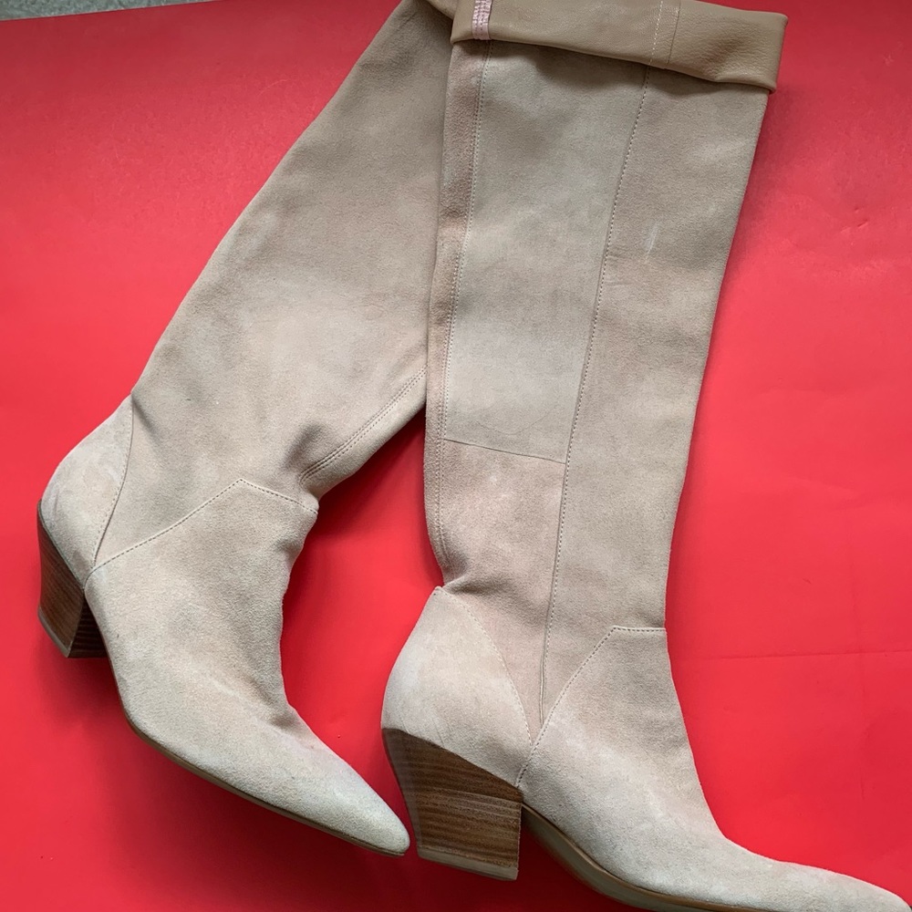 Knee High Pointed Toe Boots